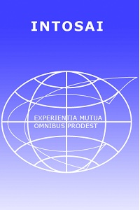 SAI Organization and Development